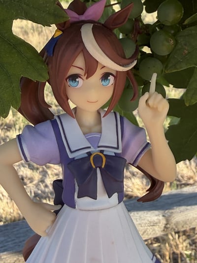 Teio erklärt… · Tokai Teio - Uma Musume: Pretty Derby - Banpresto