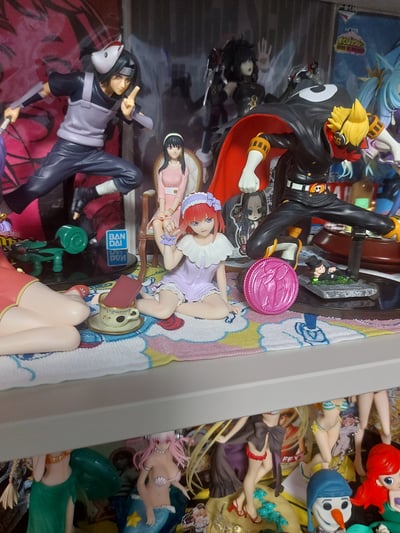 Niko beim ausruhen. Aber Tassilo gibt ihr trotzdem was zum lernen.