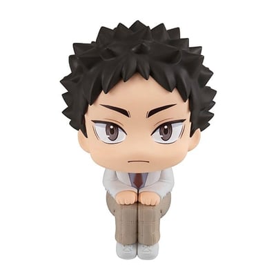 Hajime Iwaizumi - Haikyu!! Look Up - Megahouse (1)