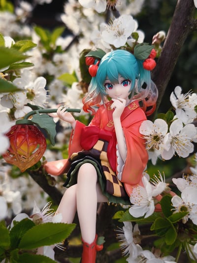 Die Winterkirsche im Frühjahr 🌸