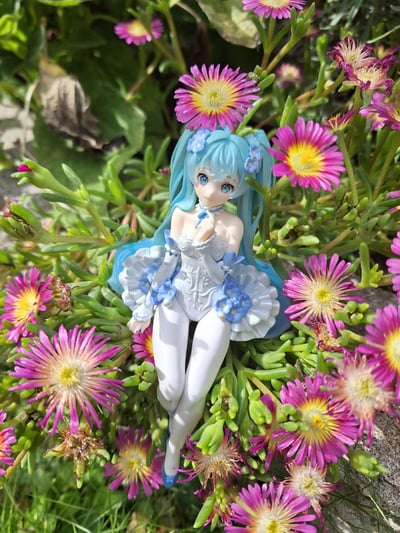 Miku zwischen Mittagsblumen 