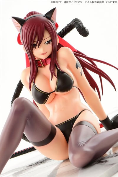 Erza / Elsa Scarlet - Black Cat - Gravure Style - 13