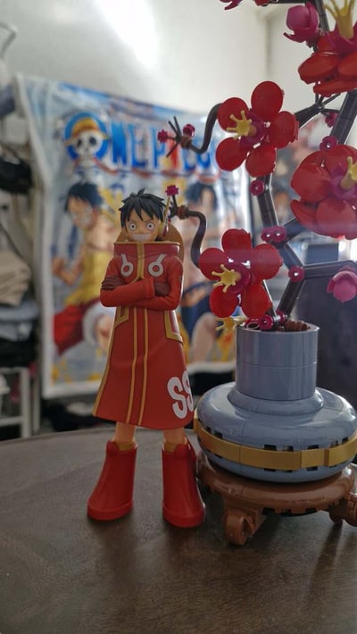 Luffys past&now · Monkey D. Luffy - One Piece: Egghead - DXF The Grandline Series - Banpresto