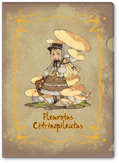 Pleurotus Citrinopileatus (Zitronengelber Seitling) - The Mushroom Girls - Reverse Studio - 22