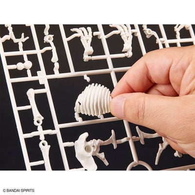 Tyrannosaurus - Plannosaurus - Model Kit - Bandai Spirits (1)