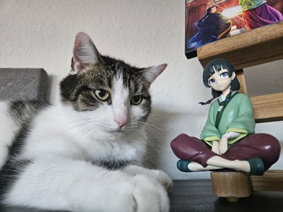 Maomao & Miau Miau · Maomao - The Apothecary Diaries - Break Time Collection Vol. 1 - Banpresto