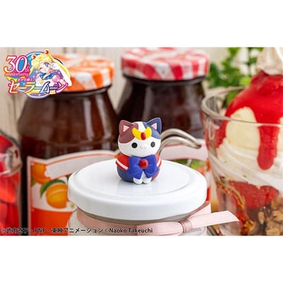 Sailor Mewn 2024 - Sailor Moon Mega Cat Project - Megahouse (8 Figuren) (10)