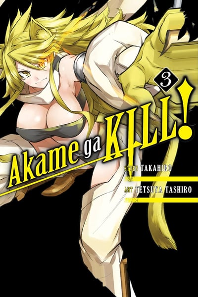 EN Akame ga Kill! - Yen Press - Vol. 3 englische Ausgabe (1)