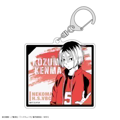 Zufällige Auswahl - Haikyu!! - Acrylanhänger (Jersey Vol. 2) - Kamio Japan 3.jpeg