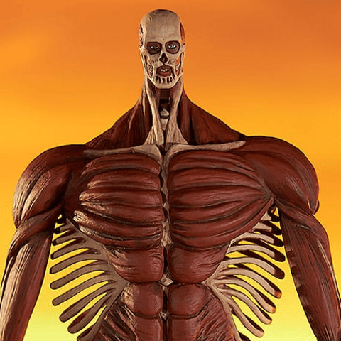 Colossus Titan - L - Attack on Titan Pop Up Parade - Good Smile Company