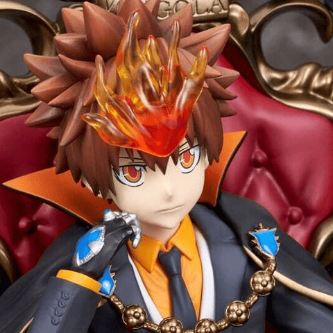 Tsunayoshi Sawada & Reborn - Proof
