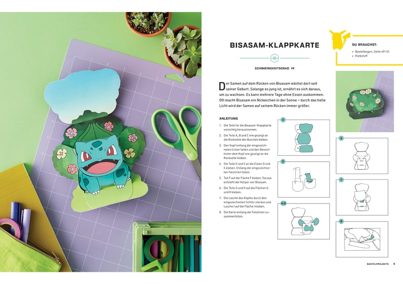 Pokemon Bastelbuch