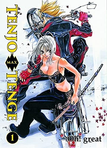 Tenjo Tenge - Panini - 2in1 Edition Band 1