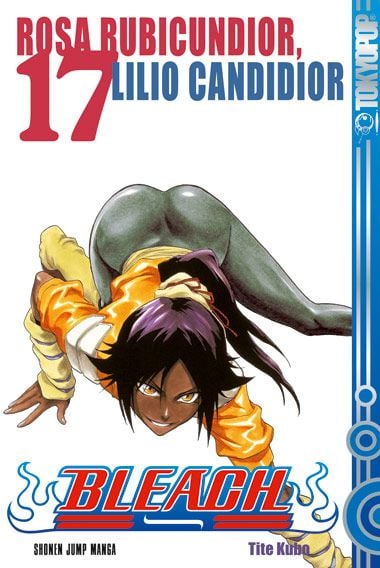 Bleach 17