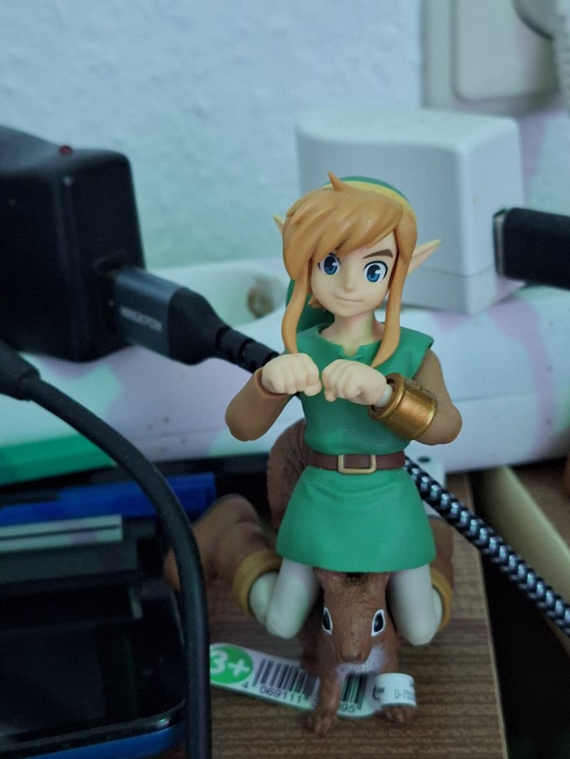 Link and his newest squirrel partner Eiko