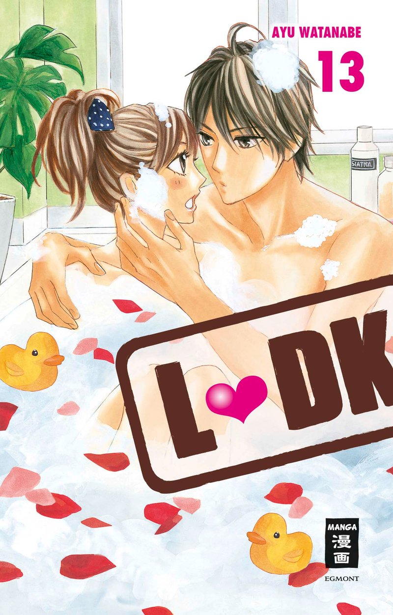 L-DK 13