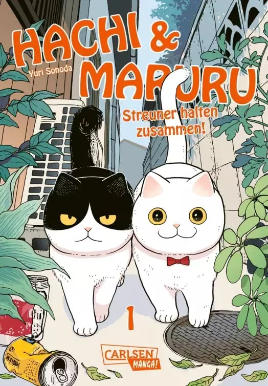 Hachi & Maruru – Streuner halten zusammen! - Carlsen - Band 1