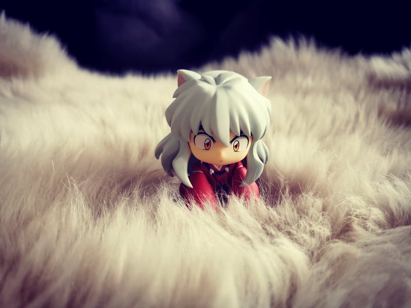 Foto #4567