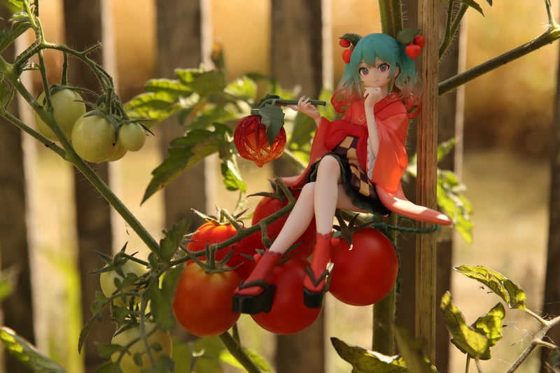 Miku's fruitful garden