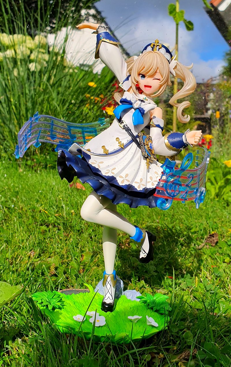 Photo n°12539