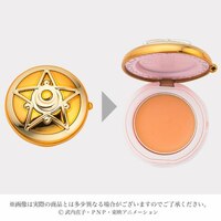 Communicator Lip Gloss - Set - 5