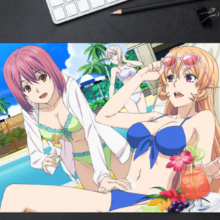 Erina & Hisako - Spielmatte - Food Wars