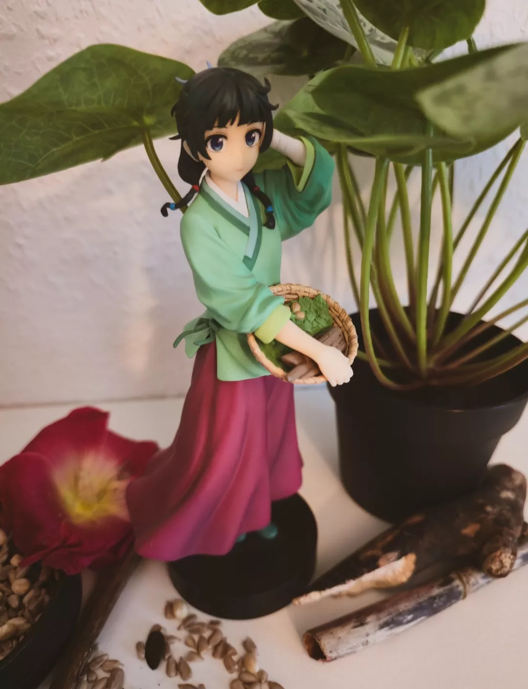 "Habe ich noch genug Heilkräuter?"