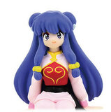 Shampoo - Ranma 1/2 on the Desk