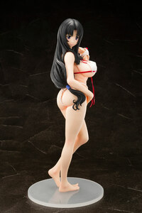 Warrior Priestess Tomoe - Genco - Queen's Blade - 16