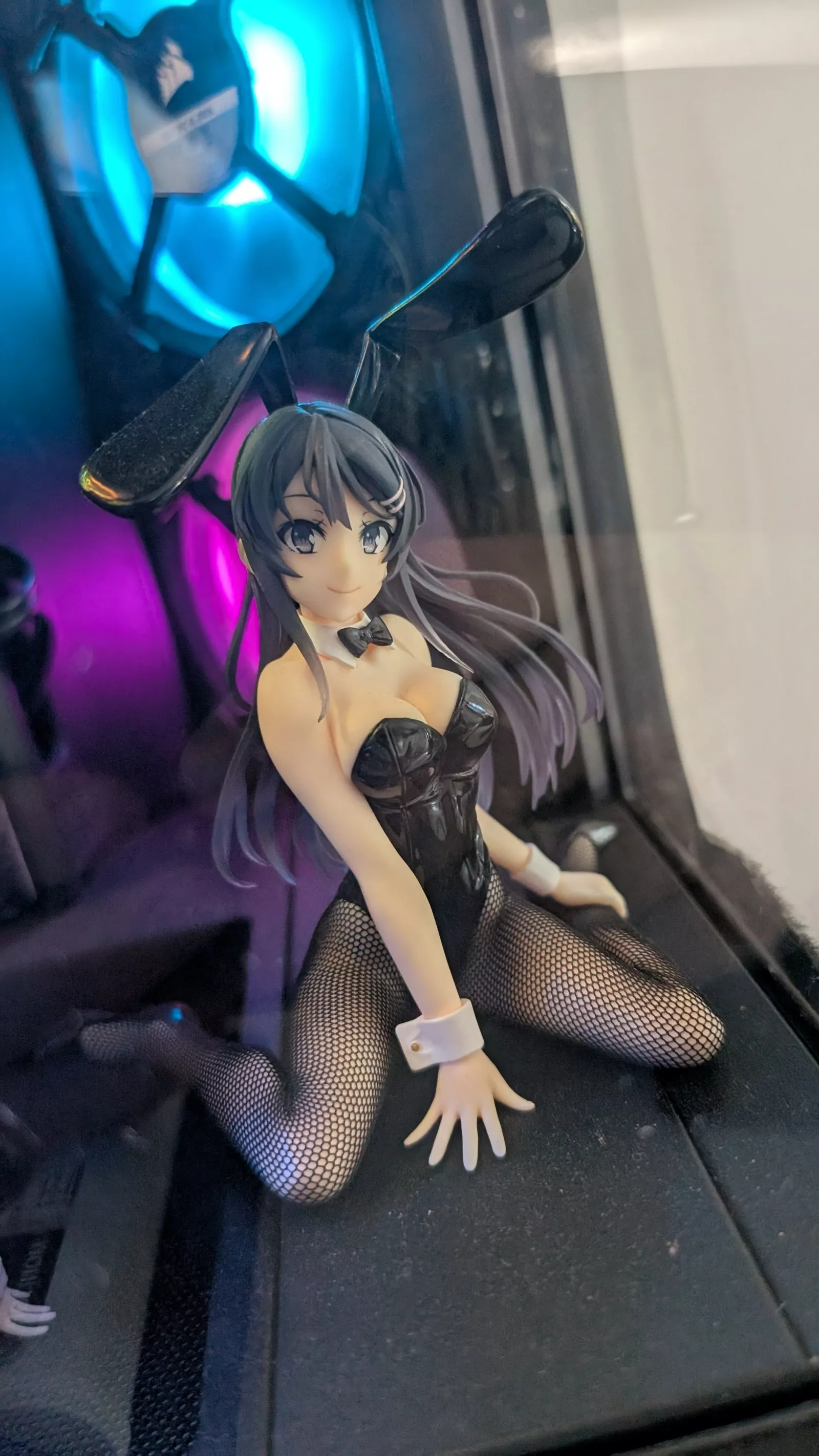 Mai Sakurajima – Bunny – Artist Masterpiece