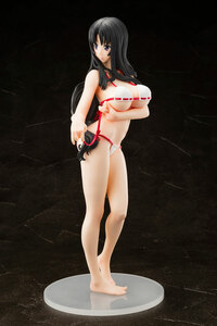 Warrior Priestess Tomoe - Genco - Queen's Blade - 19