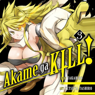 EN Akame ga Kill! - Yen Press - Vol. 3 englische Ausgabe