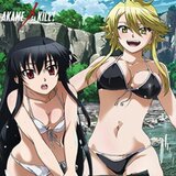 Akame & Leone - Wallscroll - Akame ga Kill - 28974