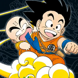 Dragon Ball Massiv - Carlsen - Vol. 3