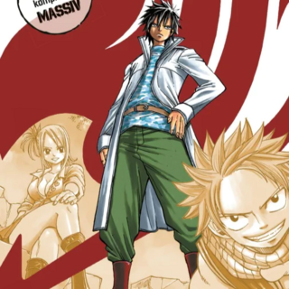 Fairy Tail Massiv - Carlsen - Band 2