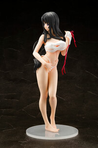 Warrior Priestess Tomoe - Genco - Queen's Blade - 25