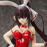 Houki Shinonono- 1/4 B-Style Bunny - Bare Leg - FREEing